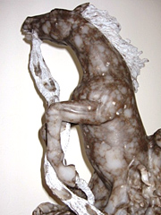 kathy elkwoman whitman